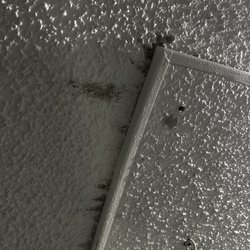 Brandywyne Apartments - EVEN more mold!