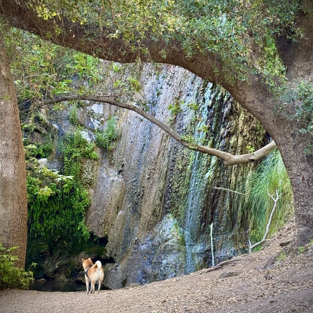 Escondido Canyon Park - Hiking Near Me - Malibu, California Escondido Canyon Park - Hiking Near Me - Malibu, California
