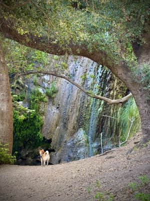 Escondido Canyon Park by null