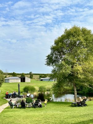 Dune Bird Winery by null