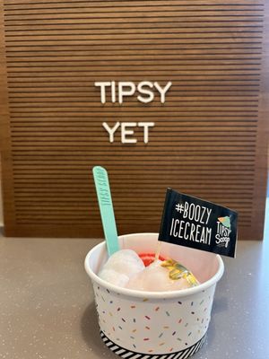 Tipsy Scoop Nashville by null