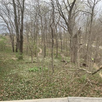 Flat Fork Creek Park - Biking trails - Hiking Near Me - Fortville, Indiana