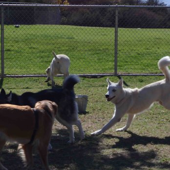 Rancho Simi Recreation & Park District - Dog Parks Near Me - Simi Valley, California
