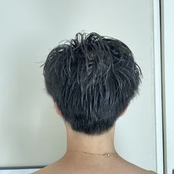 The Dapper Wolf - Back of my head