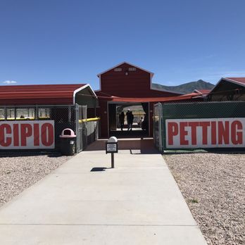 Scipio Petting Zoo - Petting Zoos Near Me - Scipio, Utah Scipio Petting Zoo - Petting Zoos Near Me - Scipio, Utah