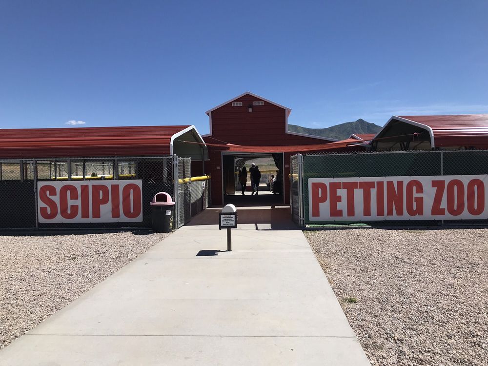 SCIPIO PETTING ZOO 60 Photos & 27 Reviews Scipio, Utah Petting