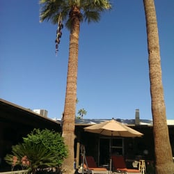 Arizona Sunburst Inn - Laying by the pool on a beautiful morning