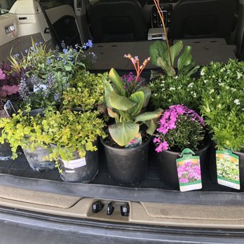 Old Stone House Gift and Garden - My 3rd trip this week. HEALTHY and HAPPY plants! - Flowers & Gifts Near Me - Reno, Nevada Old Stone House Gift and Garden - My 3rd trip this week. HEALTHY and HAPPY plants! - Flowers & Gifts Near Me - Reno, Nevada