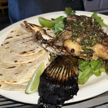 Millie's Restaurant and Catering - Local Fish Collar (Rockfish today) - American Near Me - Daytona Beach, Florida Millie's Restaurant and Catering - Local Fish Collar (Rockfish today) - American Near Me - Daytona Beach, Florida