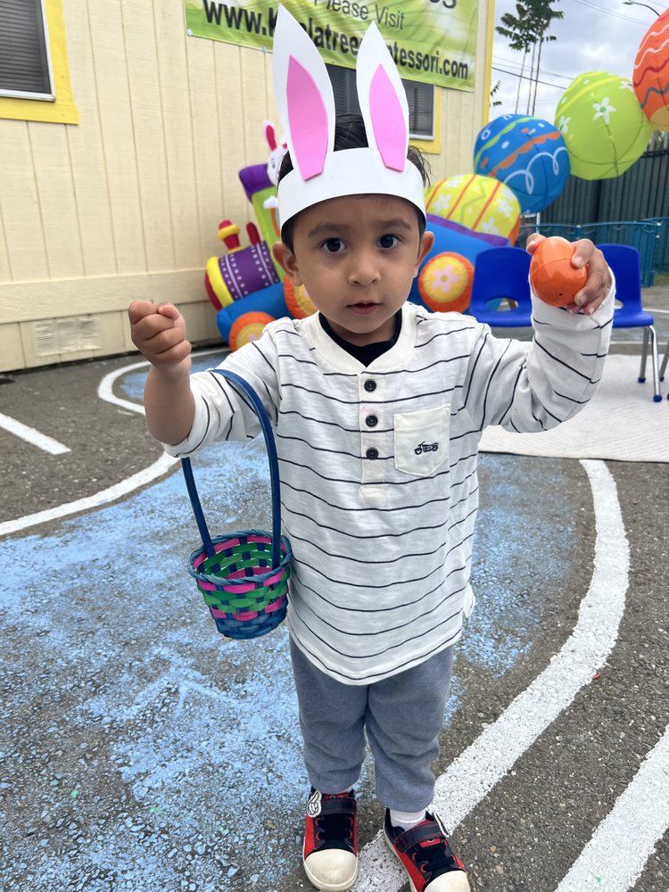 Koala Tree Montessori - childcare center in Stockton, CA