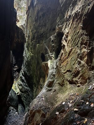 Consolidated Gold Mine by null