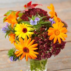 McKenzie Street Florist and Gift Shop