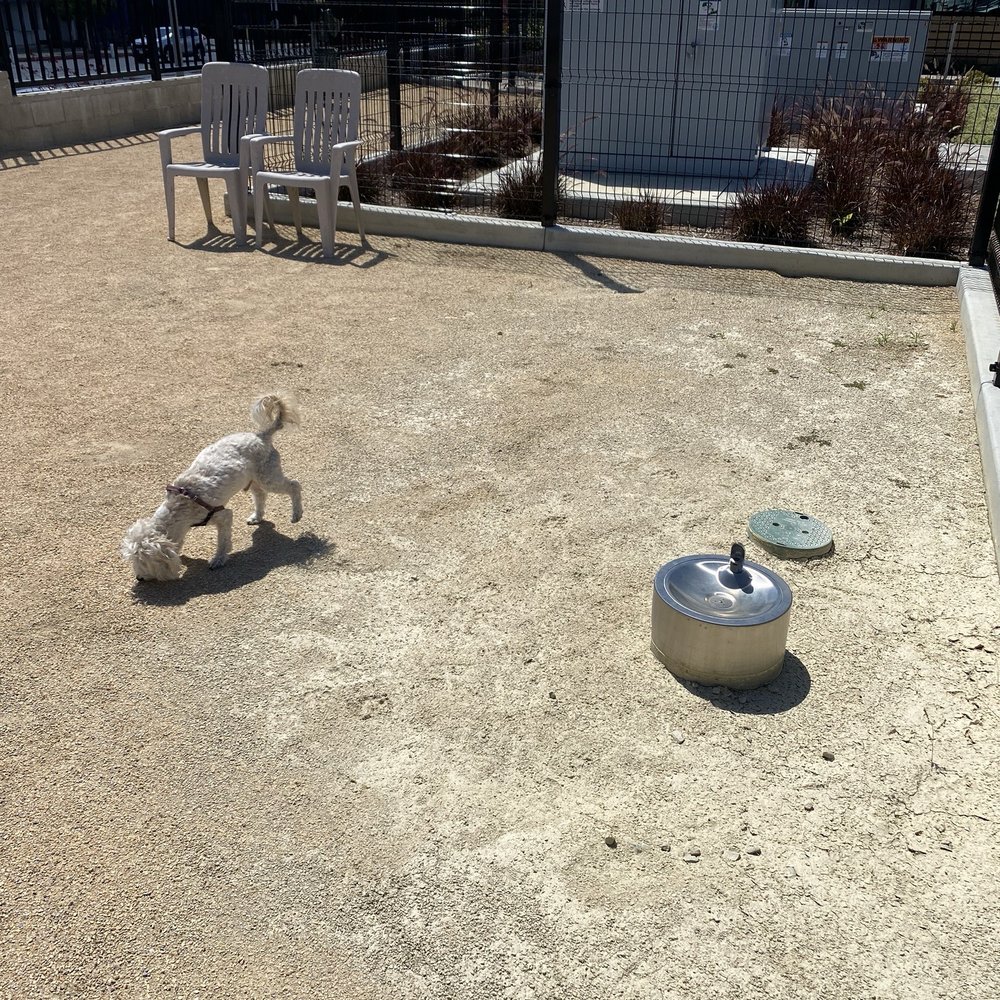 Dog Haus Biergarten - Burbank - Clean dog park - New American Near Me - Burbank, California Dog Haus Biergarten - Burbank - Clean dog park - New American Near Me - Burbank, California
