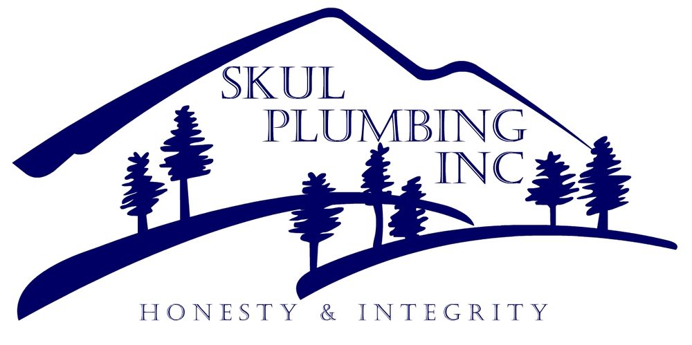 Slide of Skul Plumbing