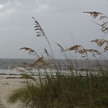 Alligator Point - Beaches Near Me - Panacea, Florida