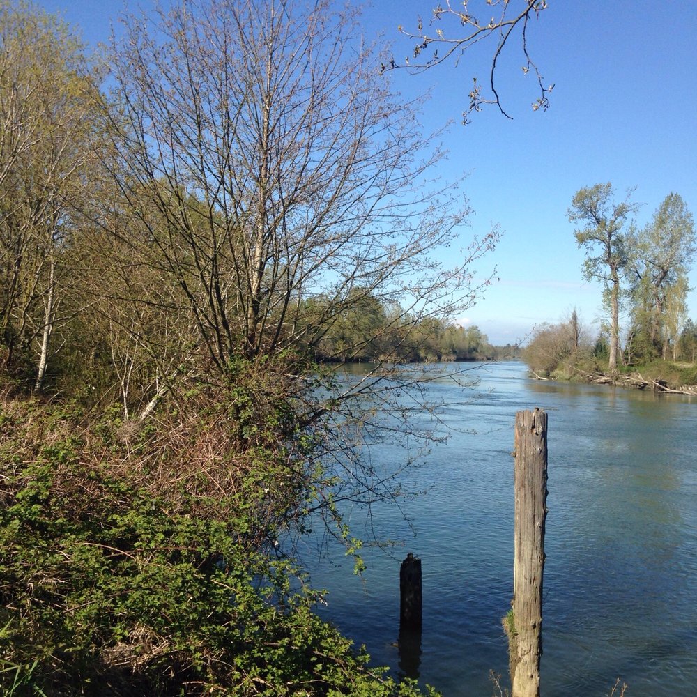 Lazy bend in the Snohomish River Lazy bend in the Snohomish River