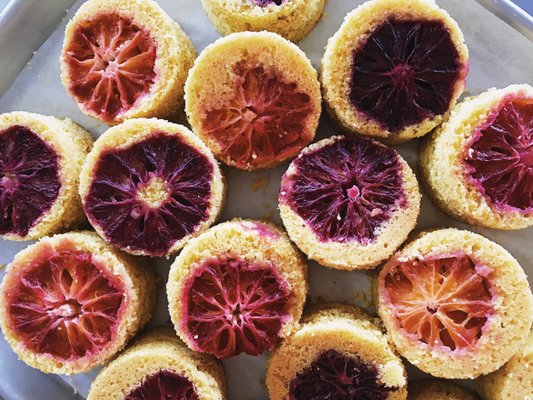 The Nashville Food Project, Inc. by null