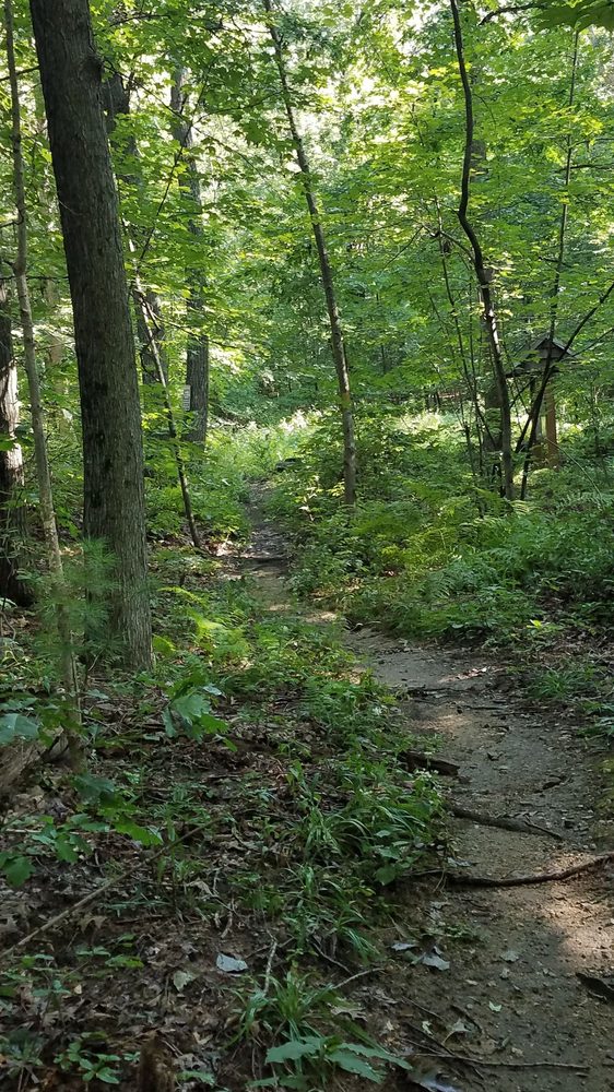 FOUND LAND PARK Updated June 2024 11 Photos 100 St Michaels Ct