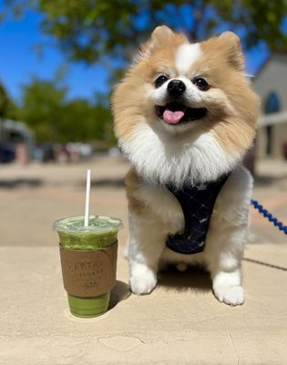 Captain + Stoker by null