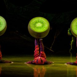 OVO from Cirque du Soleil