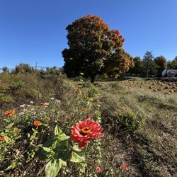Heyser Farms