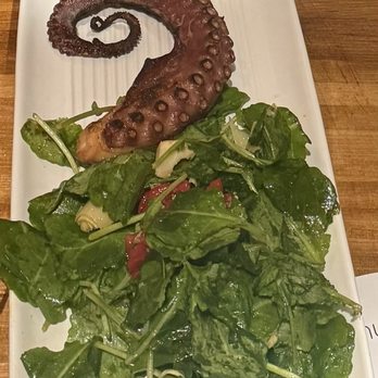 Hyatt Lodge Oak Brook Chicago - Octopus - Hotels Near Me - Oak Brook, Illinois