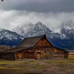 BrushBuck Wildlife Tours - Mormon Barn, Grand Teton NP