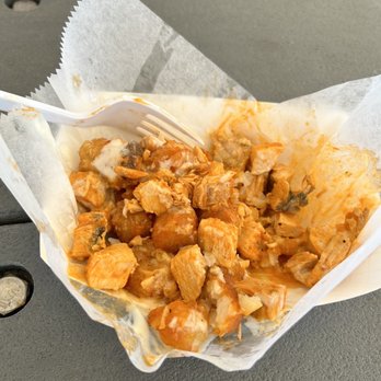 Florida State Fairgrounds  - Buffalo chicken, tater tots - Festivals Near Me - Tampa, Florida