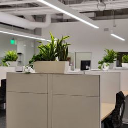 The Plant People