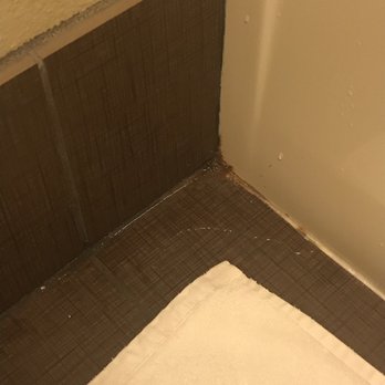 Staybridge Suites Fargo - Leaking shower and dirty bathroom floors - Hotels Near Me - Fargo, North Dakota Staybridge Suites Fargo - Leaking shower and dirty bathroom floors - Hotels Near Me - Fargo, North Dakota