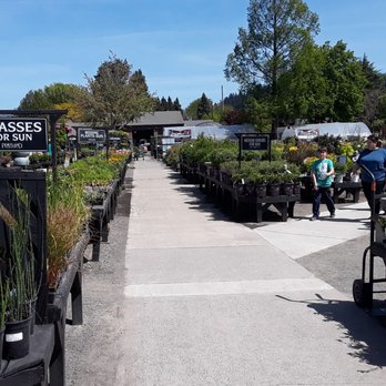 Portland Nursery - Nurseries & Gardening Near Me - Portland, Oregon Portland Nursery - Nurseries & Gardening Near Me - Portland, Oregon