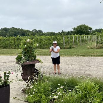 Nasketucket Bay Vineyard - Wineries Near Me - Fairhaven, Massachusetts