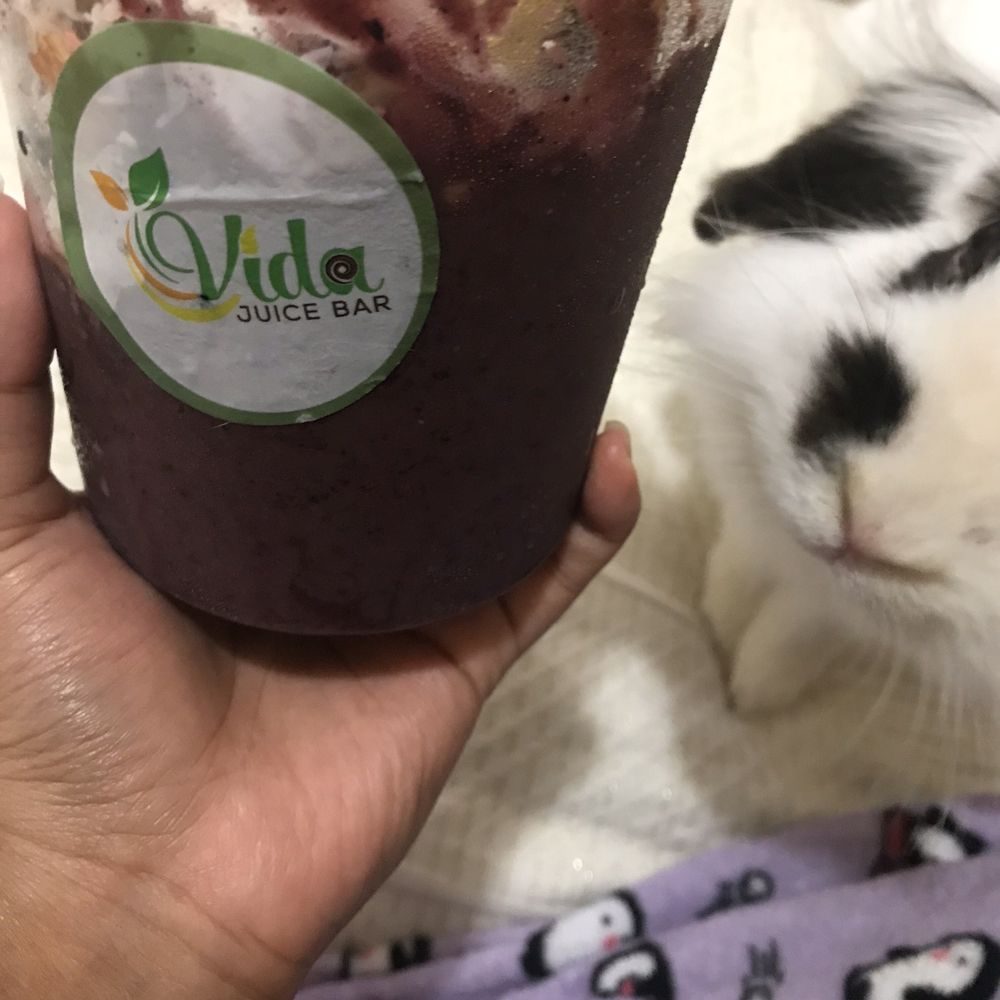 Vida Juice - rabbit approved. - Desserts Near Me - Long Beach, California Vida Juice - rabbit approved. - Desserts Near Me - Long Beach, California