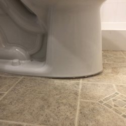 Honey Bee Husband for Hire