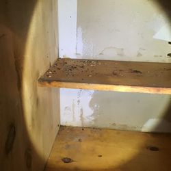 New England Decon - Rodent feces cleanup and sanitizing