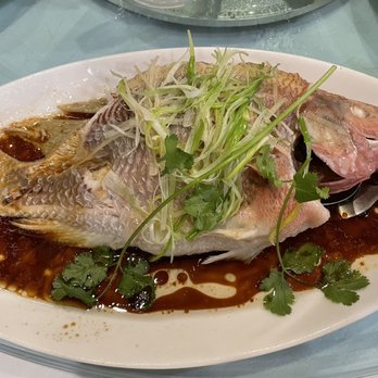 Emperor's Palace - Steamed fish - Dim Sum Near Me - Edmonton, Alberta Emperor's Palace - Steamed fish - Dim Sum Near Me - Edmonton, Alberta