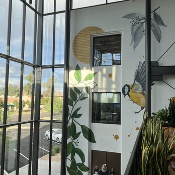 Provision - Coffee & Tea Near Me - Phoenix, Arizona Provision - Coffee & Tea Near Me - Phoenix, Arizona