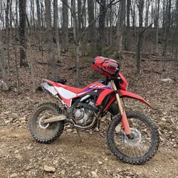 Wilderness Rider Buffalo Ranch & Adventure Park - Motorcycle single track