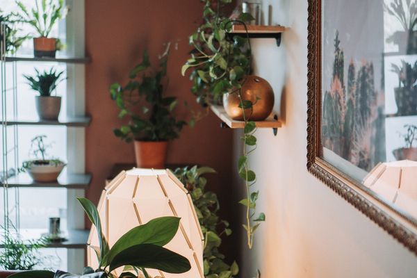 Golden Hour Skincare by null
