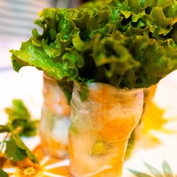 Fresh rolls