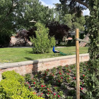 Parque Del Retiro - Peacock - Parks Near Me - Madrid, M
