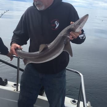 Silver Fox Charters - Boating Near Me - Homer, Alaska
