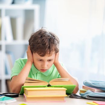Brandon’s Bright Minds - Private Tutors Near Me Brandon’s Bright Minds - Private Tutors Near Me