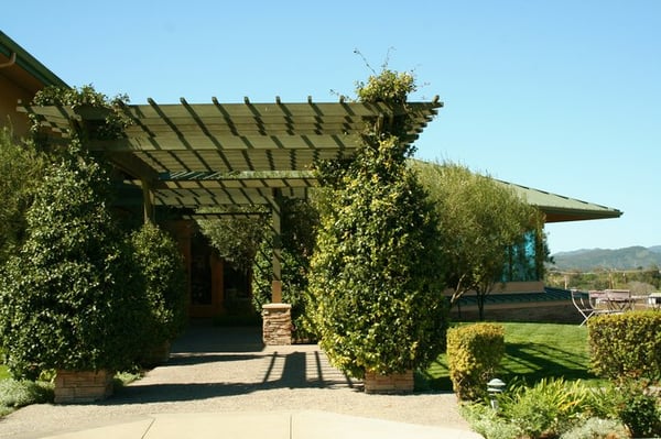 Edna Valley Vineyard by null