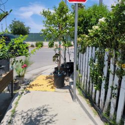 Aparicio Gardening