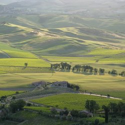 The Writer's Workshop - The beautiful landscape of Tuscany, the locale for my Travel, Food and Wine Writing Class.