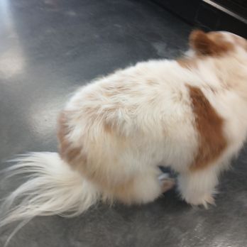 Pet Evolution - Pet Stores Near Me - Richmond, Texas