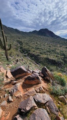 Lost Dog Wash Trailhead by null