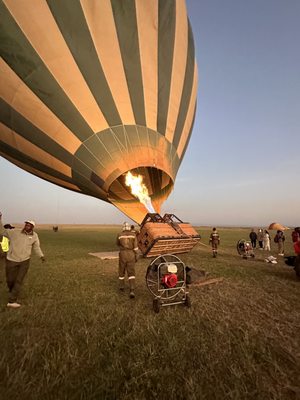 Lion World Travel by null