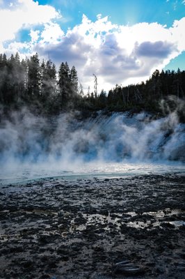 Hayden Valley by null